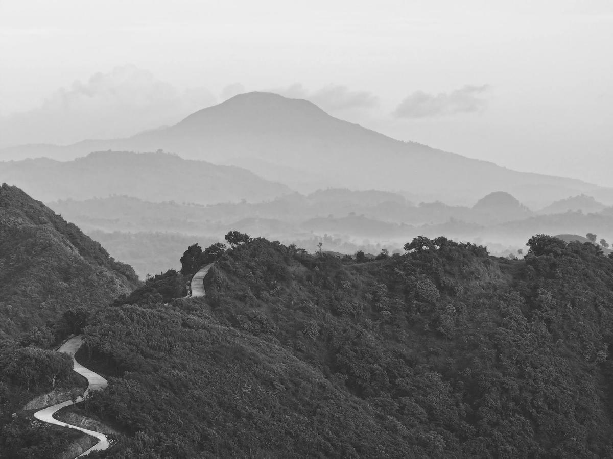 A road winding over forested hills with a mountain in the haze, in black and white